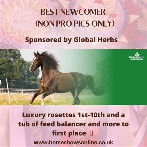 horseshowsonline|horse show online.
